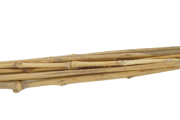Een Bos Van Gedroogd Bamboe Witte Achtergrond — Stockfoto