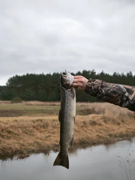 Big Salmon Hand River Background — Stock Photo, Image