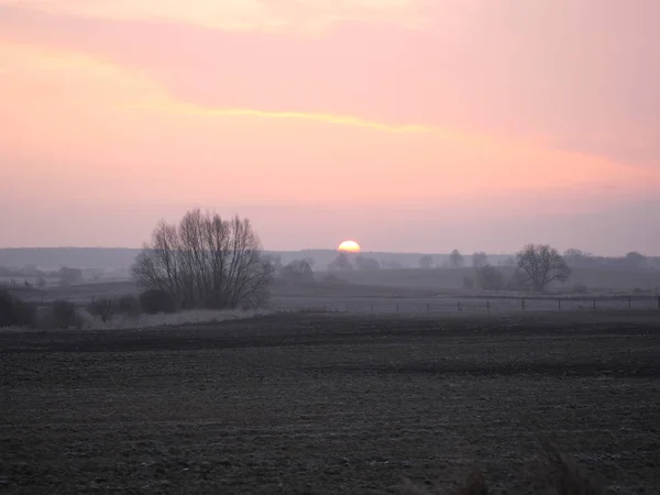 Sunrise in the winter — Stock Photo, Image