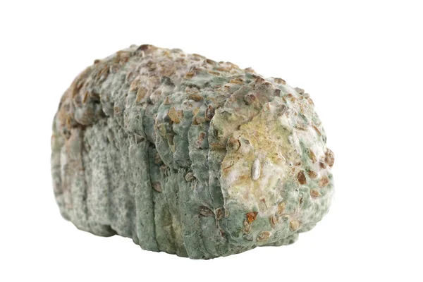 Ливарний хліб ізольований — стокове фото