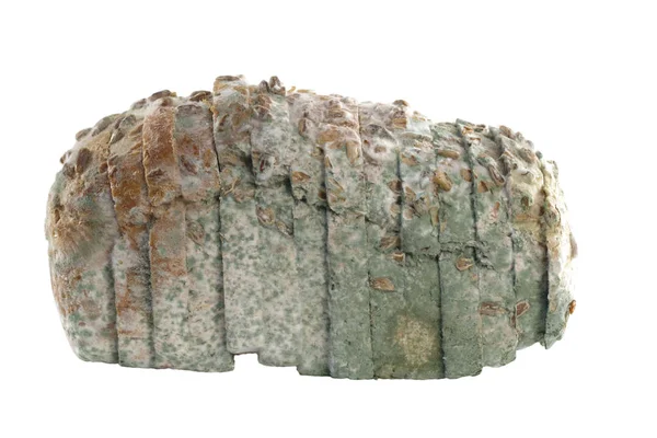 Mouldy bread isolated — Stock Photo, Image