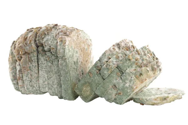 Хлеб с плесенью изолирован — стоковое фото