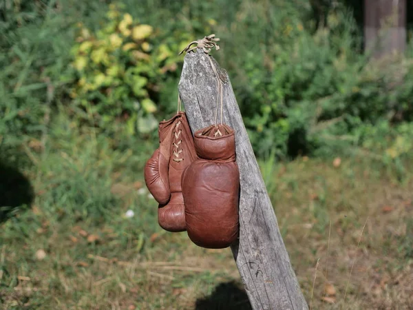 Stare rękawice bokserskie — Zdjęcie stockowe