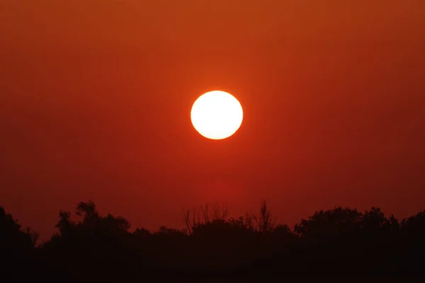 夏の間の日没 — ストック写真