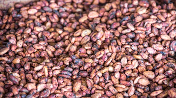 Fagioli di cacao nel cestino — Foto Stock