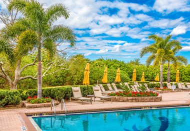 havuz tropikal tatil