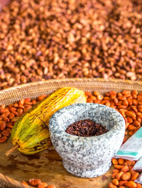 Cocoa Beans in Bin — Stock Photo, Image