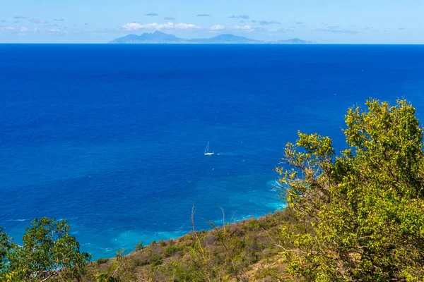 Ağaçlar deniz ve Montserrat