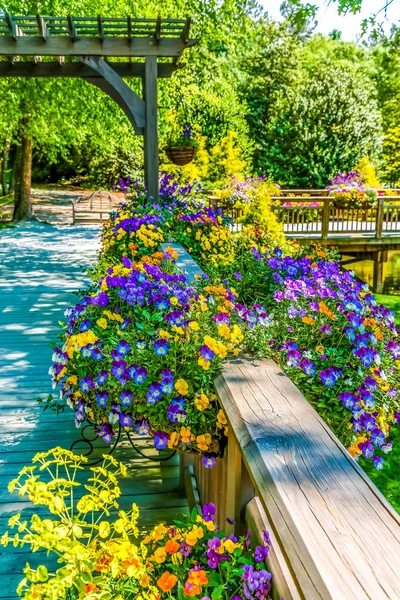 Fleurs d'été sur la rampe de pont en bois — Photo