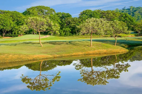 Trees on the Lake — Stock Photo, Image