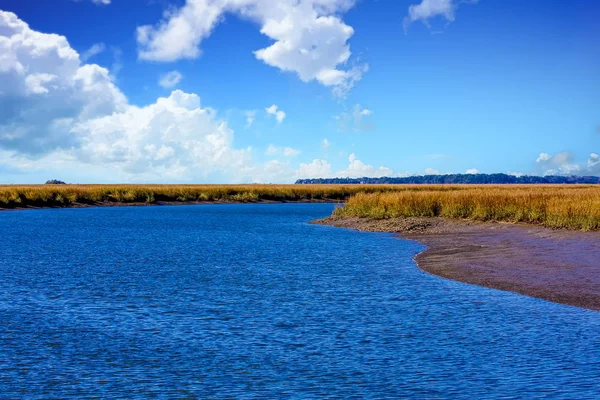 Blue Water at Marsh Edge — Stock Photo, Image