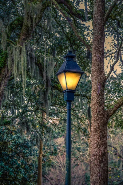 Post lâmpada tradicional por árvore e musgo espanhol — Fotografia de Stock