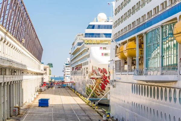 Trois navires de croisière à Boston — Photo