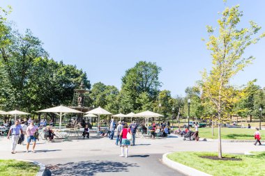 Boston ortak insanlar