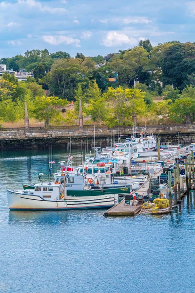 Boston yakınlarındaki Balıkçı Domuzları — Stok fotoğraf
