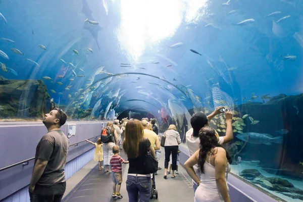 アトランタ水族館のトンネル — ストック写真