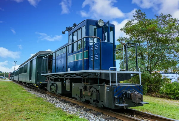 Blue Locomotive and Green Train — Stock Photo, Image