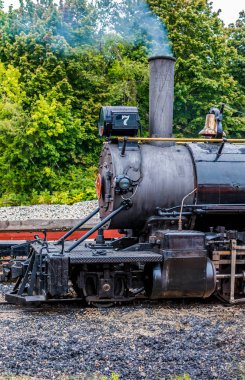 7 buhar gücü altında numara