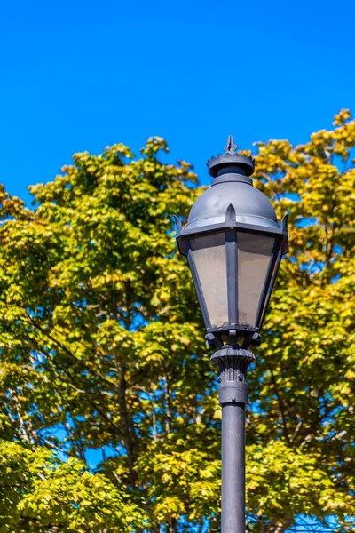 Post de lâmpada tradicional por árvore — Fotografia de Stock