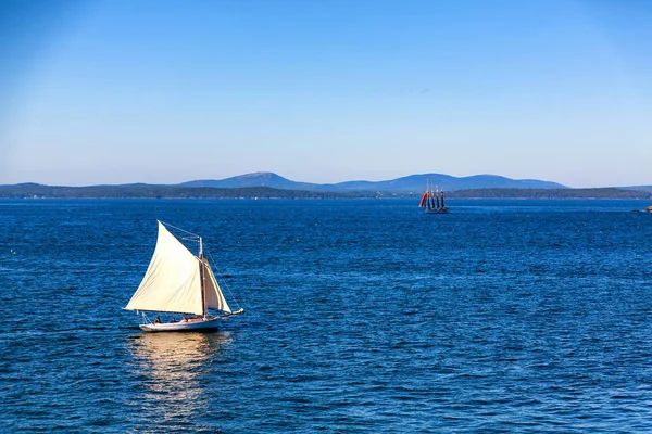 Две лодки Sailboat около Бар-Харбора — стоковое фото