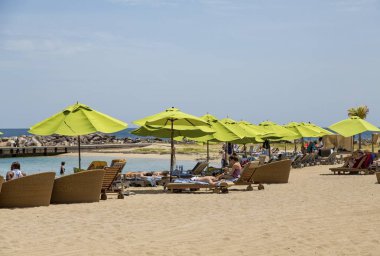 Sahilde yeşil şemsiye