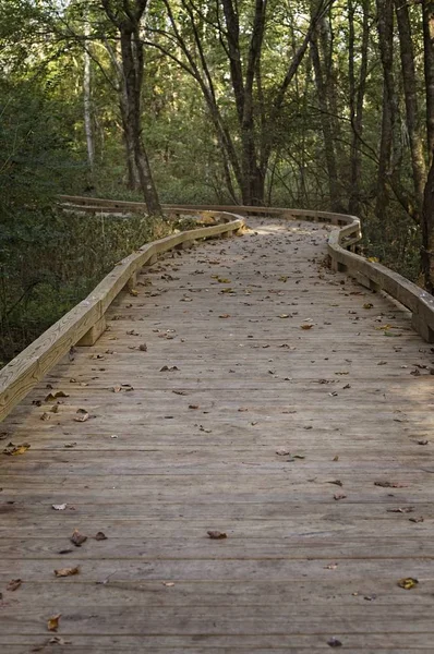 Empty Wooden Trail — Stock Photo, Image