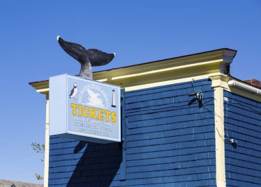 Balina izleme biletleri