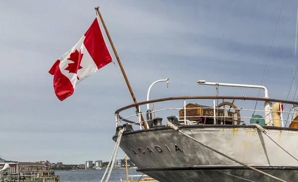 Bandera de Canadá en Acadia —  Fotos de Stock