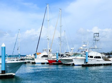 Balıkçı tekneleri Key West
