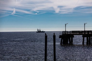 Pier ötesinde tabak karides