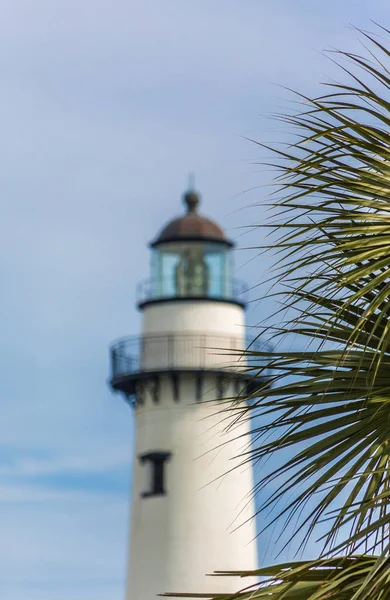 Palma con faro sullo sfondo — Foto Stock