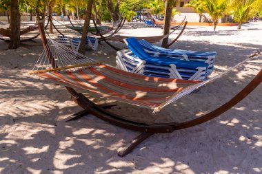 Hamaklar ve sandalyeler