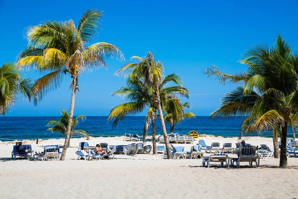 Playa y palmeras — Foto de Stock