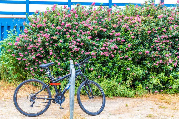 Monerey 花自転車 — ストック写真