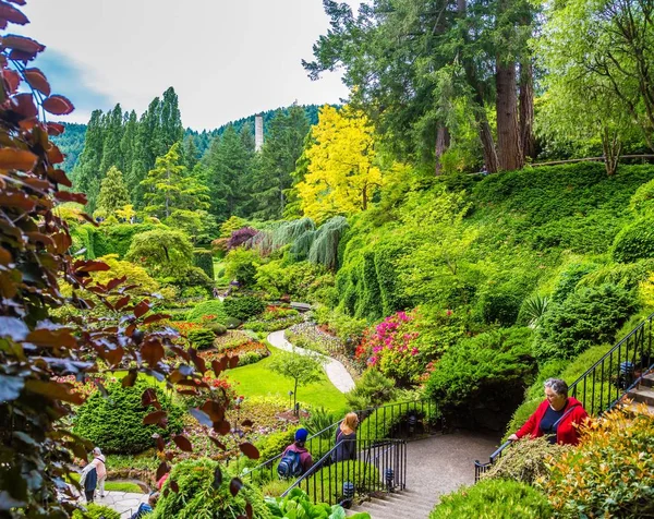 Colline dans Butchart Gardens — Photo