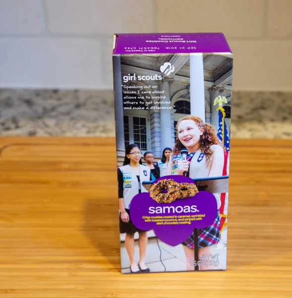 Ragazza scout biscotti — Foto Stock