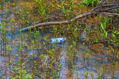 atılan plastik şişe