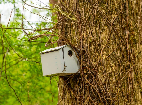 Bir gri Birdhouse — Stok fotoğraf