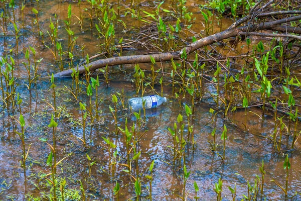 atılan plastik şişe