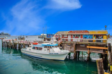 Monterey Bay balina Izleme