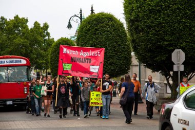 Monsanto Protesto Mart