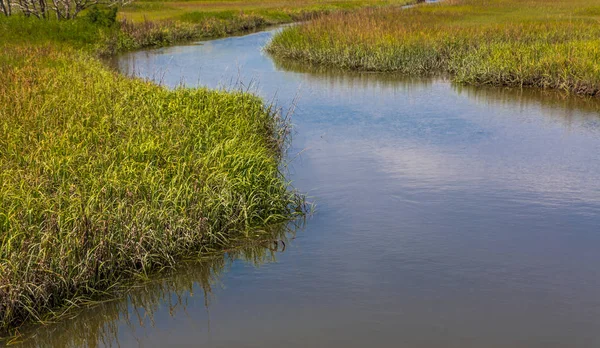 River Through Marshland — Stock Photo, Image