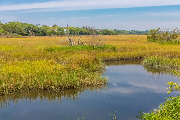 Blue River Through Saltwater Marsh — Stock Photo, Image