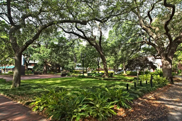 Savannah'daki Reynolds Meydanı — Stok fotoğraf