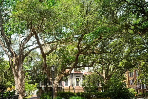 Townhouse Through Oaks — Stock Photo, Image