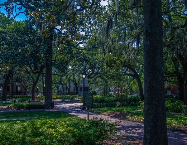 Savannah Park Under Oaks — Zdjęcie stockowe