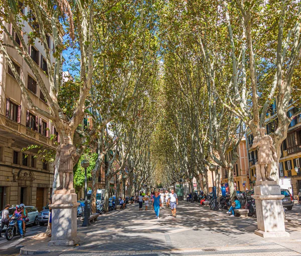 Touristen auf baumgesäumter Straße in Palma — Stockfoto