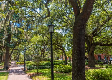 Paths Through Savannah Park clipart