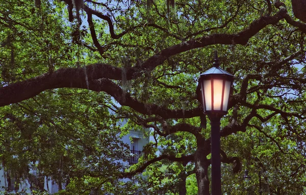Crepúsculo em Savannah Park — Fotografia de Stock