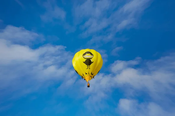 Großer schwarzer Vogelballon — Stockfoto